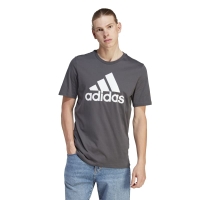 adidas Essentials Single Jersey Big Logo Tee Ανδρικό T-Shirt IQ4742