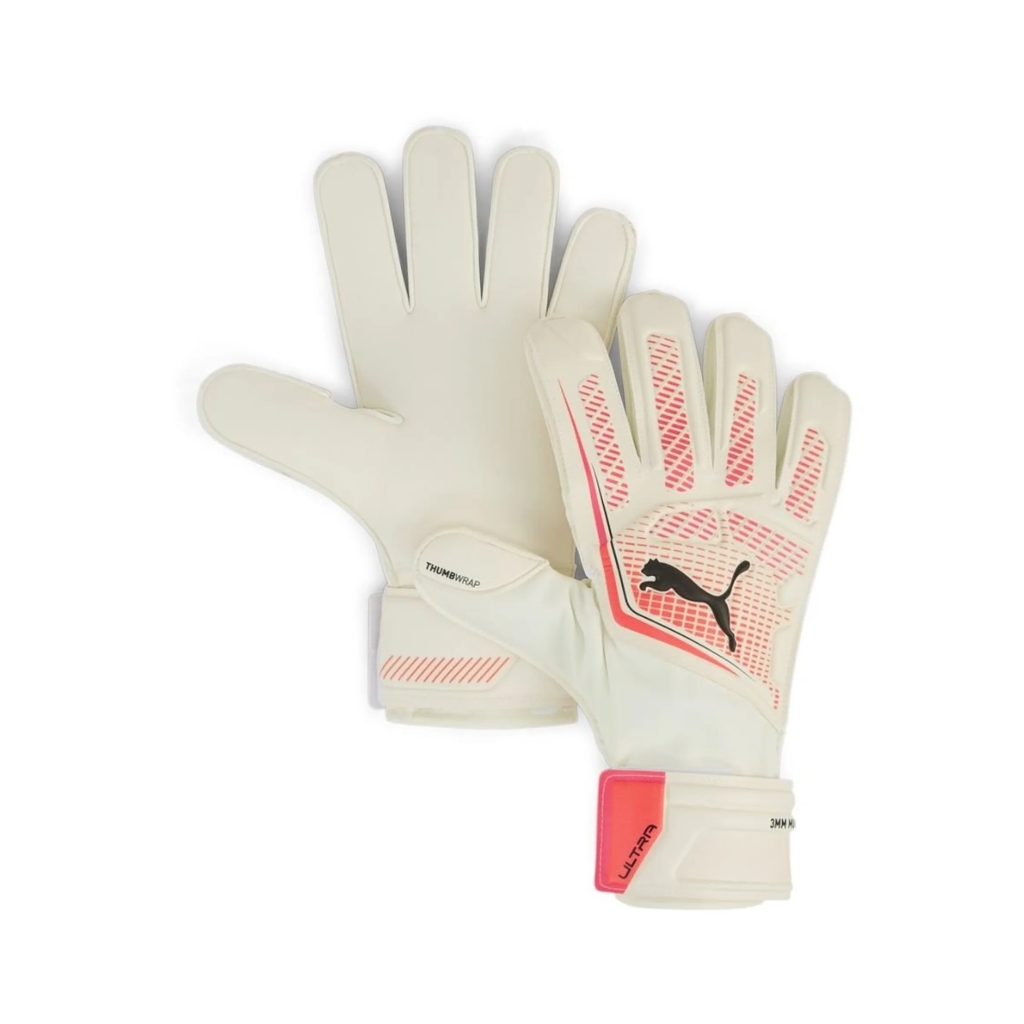 photo 4061 photo 4061